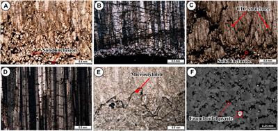 The Occurrence of Bedding-Parallel Fibrous Calcite Veins in Permian Siliciclastic and Carbonate Rocks in Central Thailand